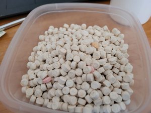 Zdjęcie przedstawiające plastikowe pudełko z zawartością białych tabletek