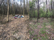 Kolaż zdjęć leśnej polany, z lewej widoczna sterta śmieci, z prawej pusta leśna polana.