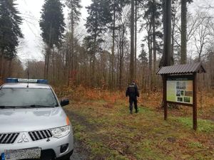 Zdjęcie lasu z widocznym samochodem terenowym na pierwszym planie, w oddali odwrócony tyłem umundurowany policjant.