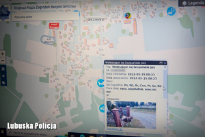 Zdjęcie ekranu komputerowego z widoczną mapą KMZB - kategoria wałęsające się bezpańskie psy.