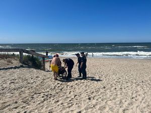 Morska plaża, w oddali widoczny mężczyzna na wózku inwalidzkim, przy nim grupka ludzi, w tym umundurowani policjanci