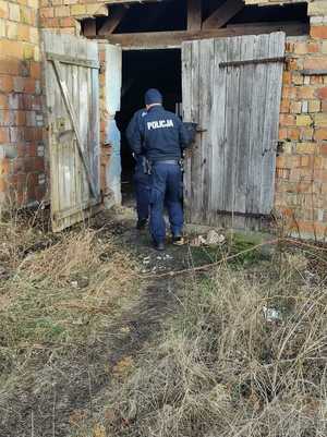Zdjęcie dwóch umundurowanych policjantów wchodzących do starej stodoły