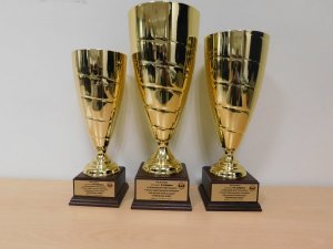Zdjęcie przedstawiające trzy stojące puchary dla zwycięzców konkursu