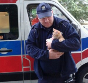 Zdjęcie przedstawiające policjanta trzymającego na rękach małego kota