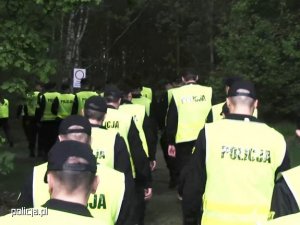 Zdjęcie przedstawiające grupę policjantów podczas przeszukiwania lasu