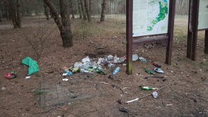 Zdjęcie przedstawiające śmieci pozostawione w lesie