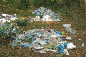 Zdjęcie przedstawiające śmieci leżące na terenie leśnym