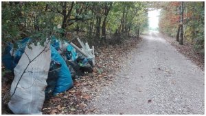 Zdjęcie przedstawiające worki ze śmieciami leżące przy drodze leśnej