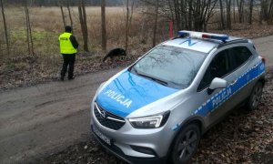 Zdjęcie przedstawiające oznakowany radiowóz policyjny z policjantem w tle