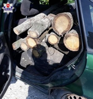 Zdjęcie przedstawiające bale drewna ułożone na tylnym siedzeniu auta