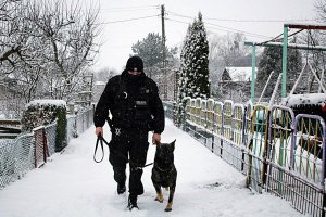 Zdjęcie przedstawiające policjanta idącego z psem służbowym