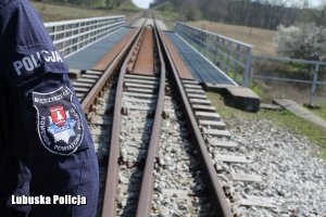 Zdjęcie przedstawiające tory kolejowe