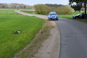 Zdjęcie przedstawiające drogę asfaltową, po lewej zielona łąka, po prawej las, w tle oznakowany radiowóz.