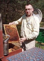 Mężczyzna przy pracach pszczelarskich