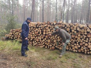 Dzielnicowy podczas patrolu z leśniczym