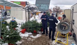 Dzielnicowi w punkcie sprzedaży choinek