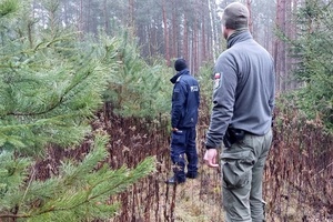 Policjanci z leśniczymi w lesie podczas patrolu