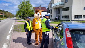 Dwójka policjantów przeprowadzająca kontrolę drogową samochodu w kolorze srebrnym. Obok policjantów człowiek-maskotka-wiewiórka.