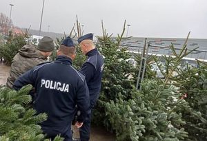 Policjanci kontrolujący punkty sprzedaży choinek