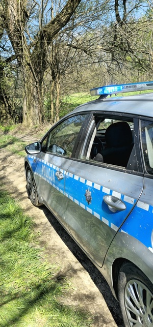 Policyjny oznakowany radiowóz na polnej drodze na tle drzew