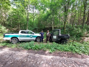 Policjant i strażnik leśny na tle pojazdów straży leśnej i lasu