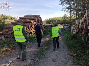 Dzielnicowi wspólnie z funkcjonariuszami straży leśnej z Nadleśnictwa Czarnobór prowadzą wspólne działania prewencyjno kontrolne