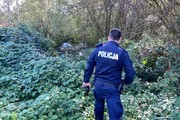 Umundurowany policjant na tle terenów zielonych