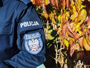 zbliżenie tzw. garnizonówki na rękawie bluzy służbowej