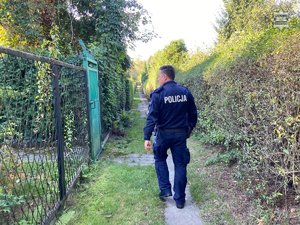 Widziany od tyłu policjant idący alejką ogródków działkowych