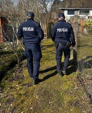 Widziani od tył dwaj policjanci idący alejką ogródków działkowych