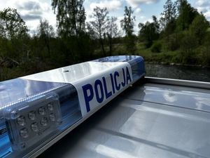 Dach radiowozu z tzw. galeryjką na tle zieleni