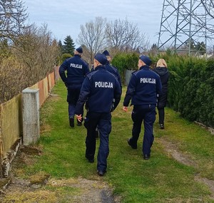 Widziani z tyłu czterej policjanci i kobieta idący alejką ogródków działkowych