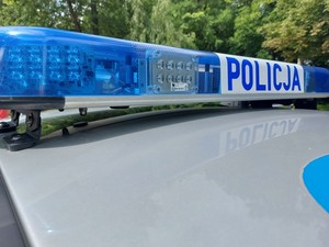 Dach radiowozu z tzw. galeryjką na tle zieleni