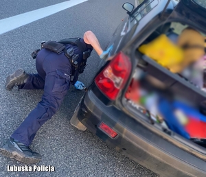 Pochylony policjant przy kole samochodu osobowego