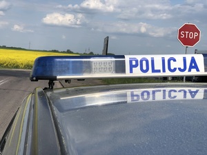 Dach radiowozu na tle pola rzepaku