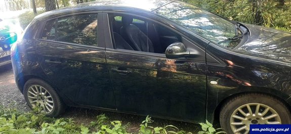 Czarny samochód osobowy na tle lasu