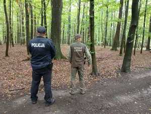 Policjant i strażnik leśny na tle lasu