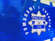 Logo &quot;Pomagamy i chronimy&quot;