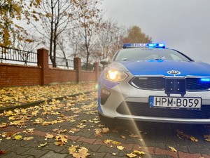 Radiowóz policyjne w scenerii jesiennej ulicy