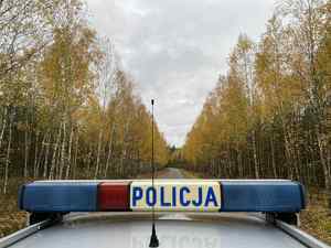 Dach radiowozu na tle drogi leśnej