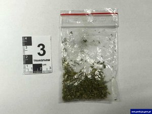 Woreczek strunowy z zawartością brunatnego suszu