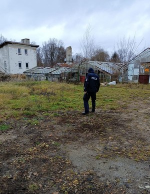 Policjant na tle opuszczonych szklarni