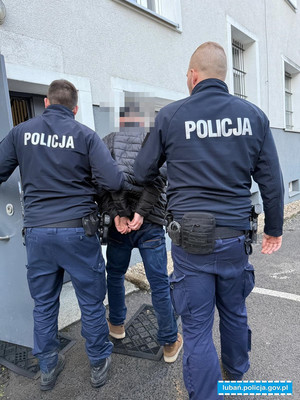 Dwaj policjanci widziani od tyłu prowadzący do komisariatu skutego mężczyznę.