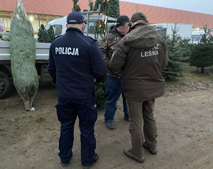 Policjant oraz strażnik leśny podczas kontroli stoiska z choinkami