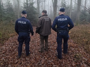 Widziani z tyłu dwaj policjanci oraz strażnik leśny w lesie świerowym
