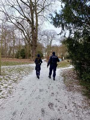 Widziana z tyłu dwójka policjantów idąca przez park
