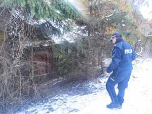 Policjant schodzący do drewnianej ruiny w zadrzewionym i ośnieżonym terenie