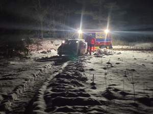 W zimowej scenerii leśnej drogi widoczna karetka oraz radiowóz.