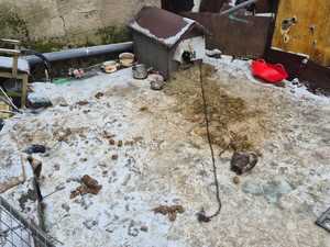 Brudny kojec ze starą budą dla psa