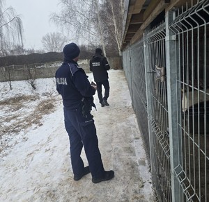 Policjant oraz inspektor ochrony zwierząt przy metalowych kojcach w scenerii zimowej